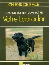 Votre labrador - Collectif -