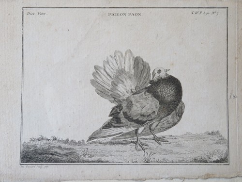 Claude fessard - claude, fessard(1740-1803)