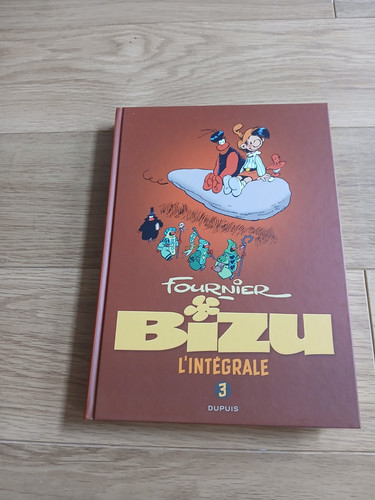 Intégrale bizu - t3,