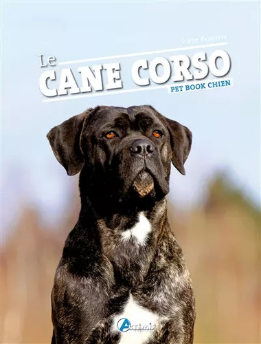 Cane corso collectif - cane,