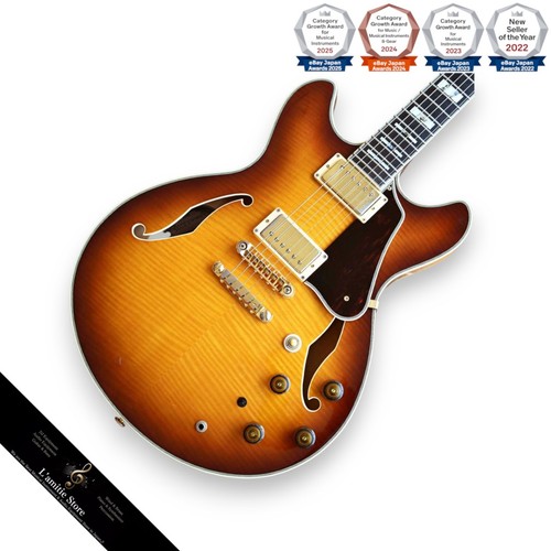 Guitare semi creuse ibanez - semi-creuse,