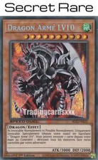 Yu-Gi-Oh! Dragon Armé LV10 : SE SGX3-FRI27