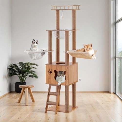 Arbre chat 155 avec - chat, de