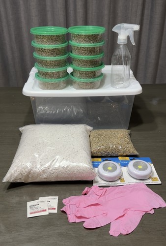 Easy mushroom growing kit - easy,