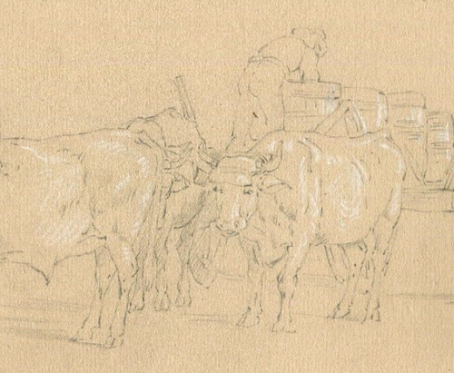 Charrue homme french bulls - charrue,