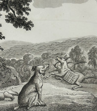 L'âne et le chien  Fable La