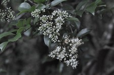 [Testé !/Presque comme neuf-]