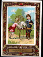 1887 POCKET CALENDAR / HOFFMANN STARCH / CHILDREN & CAT white on CHAIR