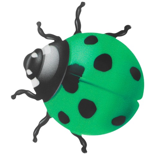 Coccinelle pour decoration - coccinelle,
