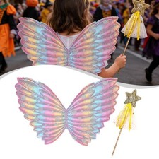 Ailes de fée papillon avec