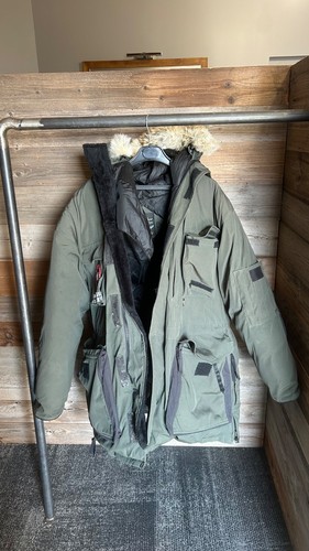 Canada goose snow - goose, parka