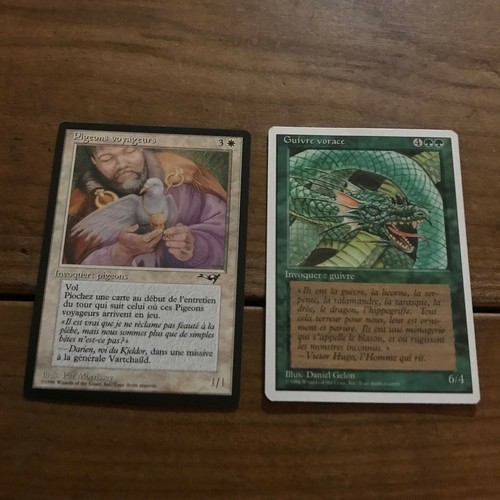 Carte magic the gathering - magic,