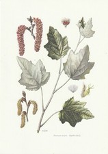 Planche 10 Histoire Naturelle