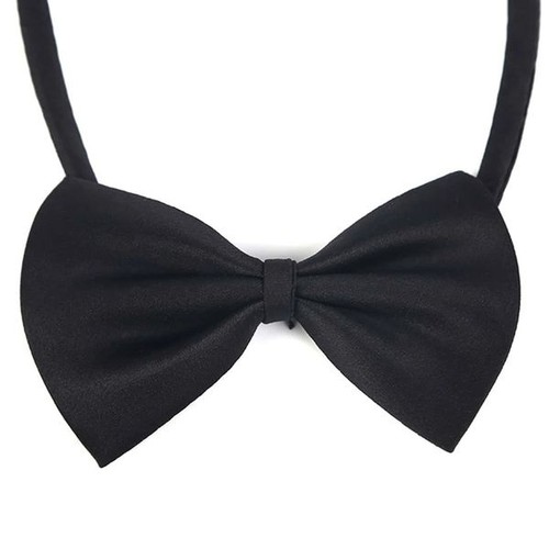 Noeud papillon pour animal - noeud,
