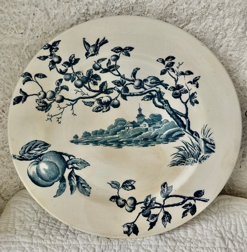 Assiette faïence 19 - assiette,