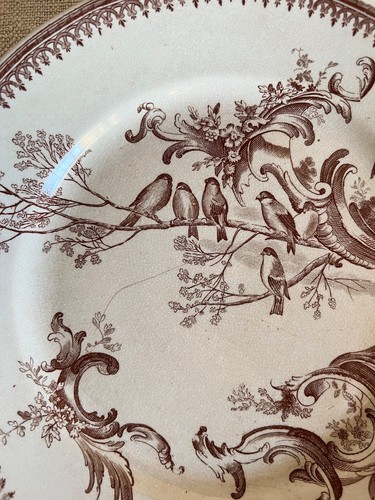Assiette ancienne oiseaux - assiette,
