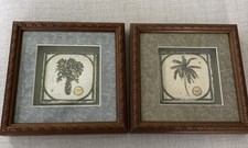 Set of 2 Cabbage Palm 1926 Painting on Tile & Coconut Palm 1878 by David Nicols