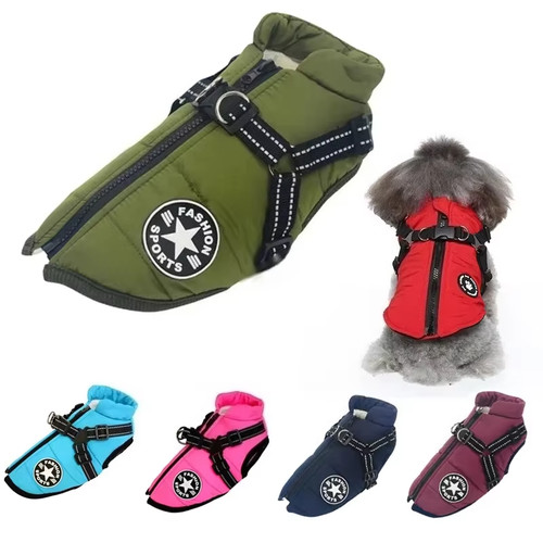 Manteau veste pour - , chien
