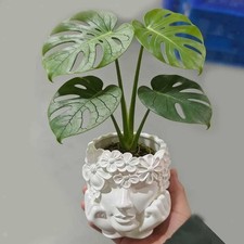 Rangement de Bureau, Articles