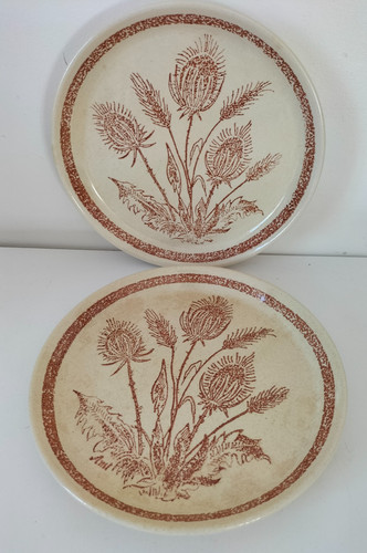 Duo assiettes vintage au - duo, d’assiettes