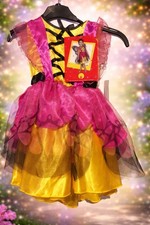 Déguisement fille fée /