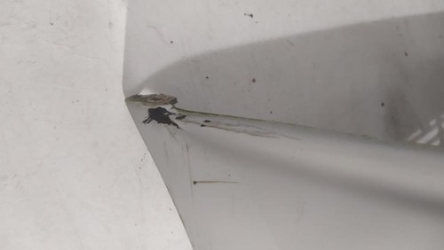 Pare choc avant - , volkswagen