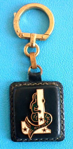 Porte cle augis - cle, vert