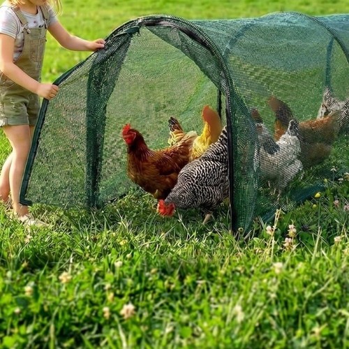 Tunnel poulet pliable pour - tunnel,