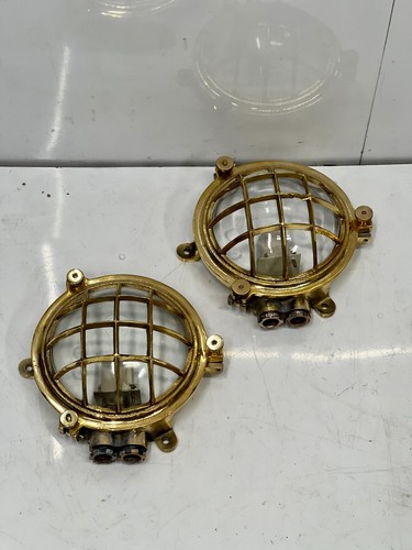 Lumières cloison tortue en - tortue,