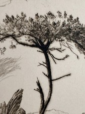 Ancienne gravure signée Fernand Diaz, 1981, paysage arboré Pins parasol Provence