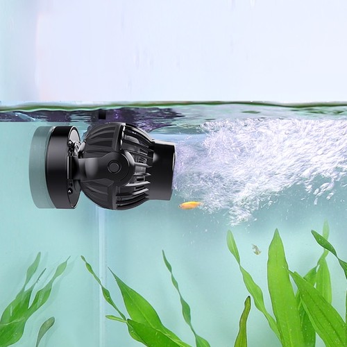 Hygger aquarium fish - fish, tank