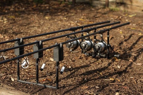 Korda singlez noir - singlez, ou