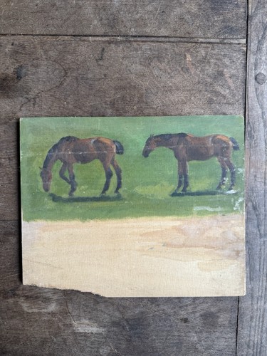 Horse study late - horse,