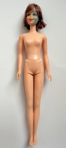 Vintage 1960s tnt barbie - 1960s,