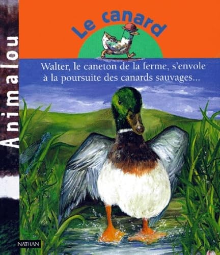 Canard walter le caneton - walter,,