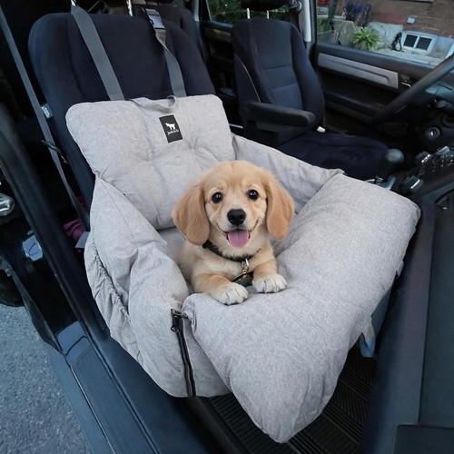 Premium dog car - premium, safe