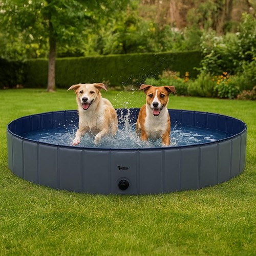 Piscine pour chiens 160 - pour, h