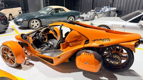 2010 campagna rex - t-rex,
