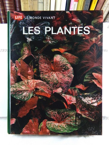 Life monde vivant les - life, le