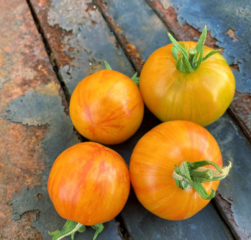 Graines tomate yellow - tomate,
