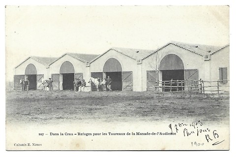 Dans crau refuges - 13,