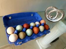 8 Œufs Poule Pondeuse