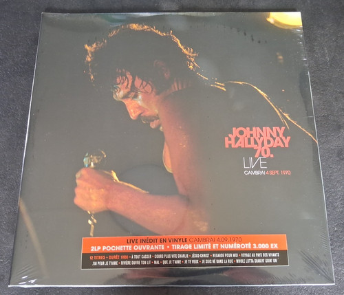 Johnny hallyday double - johnny, hallyday-