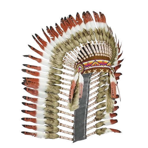 Coiffe indienne déguisement - coiffe,