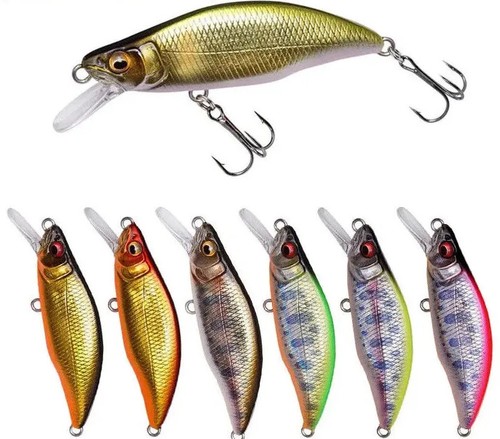 Leurre truite poisson - leurre,