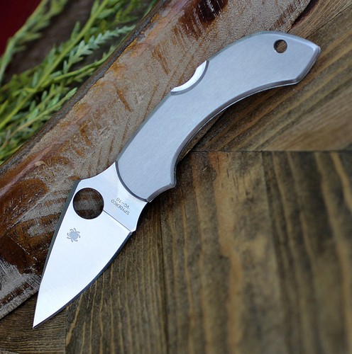 Spyderco dragonfly folding - spyderco,