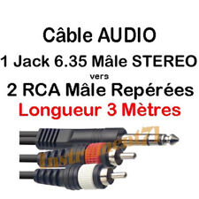 1 Câble Jack 6,35 Mâle
