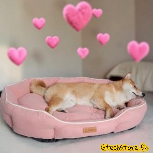 Lit chien chat canapé - lit,