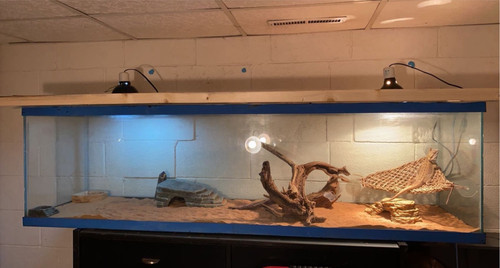 Aquarium terrarium - aquarium,