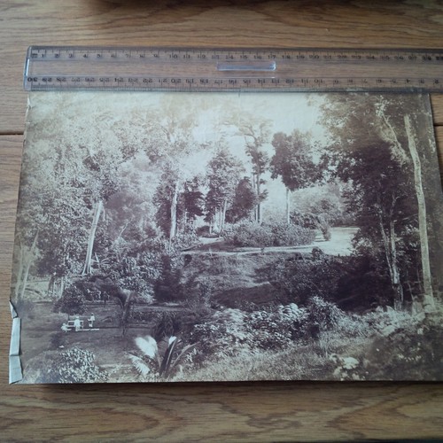 Photo ancienne java indonesie - photo,